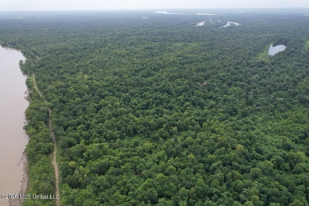 140± Acres in West Feliciana Parish, LA - image 20