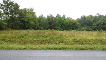 Peaceful Knoll – Nearly 7 Acres Ready for Your Dream Home - image 15