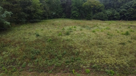 Peaceful Knoll – Nearly 7 Acres Ready for Your Dream Home - image 10