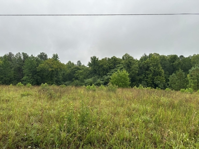 Peaceful Knoll – Nearly 7 Acres Ready for Your Dream Home - image 5