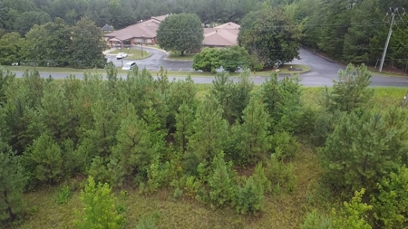 Peaceful Knoll – Nearly 7 Acres Ready for Your Dream Home - image 11