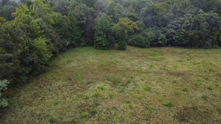 Peaceful Knoll – Nearly 7 Acres Ready for Your Dream Home - image 12