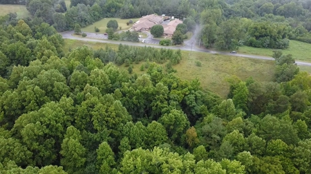 Peaceful Knoll – Nearly 7 Acres Ready for Your Dream Home - image 9