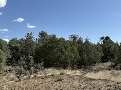 Property is ready for your cabin - image 1