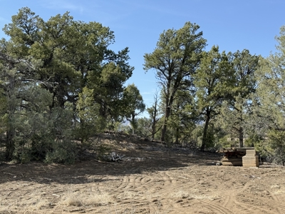 Property is ready for your cabin - image 3