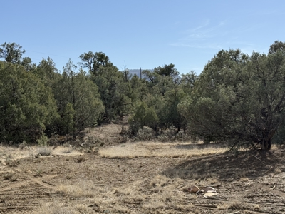 Property is ready for your cabin - image 6