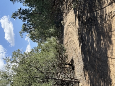 Property is ready for your cabin - image 8