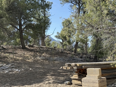 Property is ready for your cabin - image 5