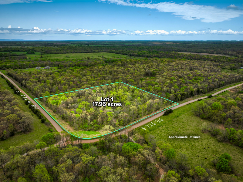 No Caption