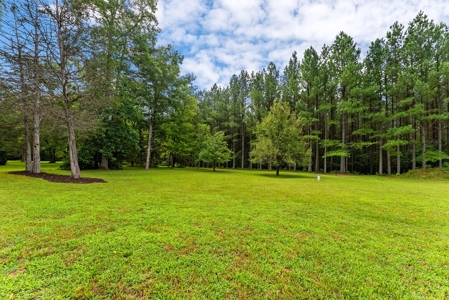 Private 49-Acre Retreat with Updated Brick Home in Louisa, VA - image 35
