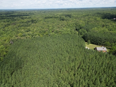 Private 49-Acre Retreat with Updated Brick Home in Louisa, VA - image 39