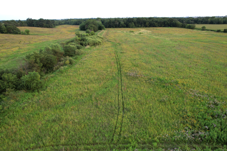 Wapello County Income Producing Combination Farm - image 23