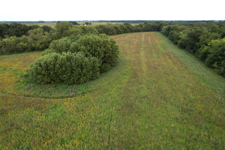 Wapello County Income Producing Combination Farm - image 18