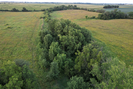 Wapello County Income Producing Combination Farm - image 20
