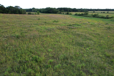 Wapello County Income Producing Combination Farm - image 26