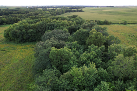 Wapello County Income Producing Combination Farm - image 21