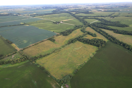 Wapello County Income Producing Combination Farm - image 3