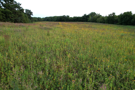 Wapello County Income Producing Combination Farm - image 27
