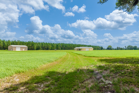 Country Home on Private 20 Acres in Chiefland, FL - image 8
