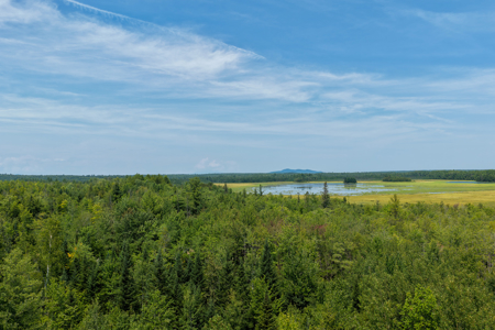 516 Acres Bordering State Wildlife Management Area - image 1