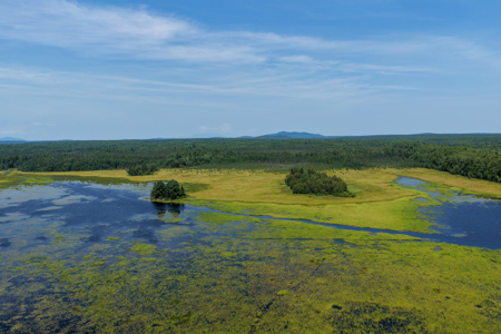 516 Acres Bordering State Wildlife Management Area - image 2