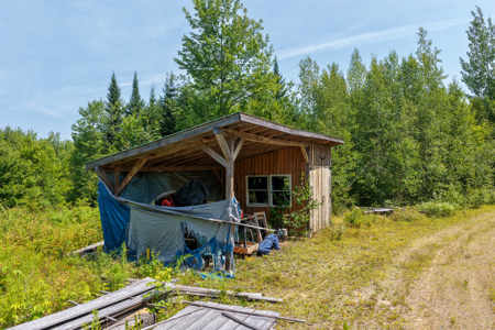 516 Acres Bordering State Wildlife Management Area - image 17