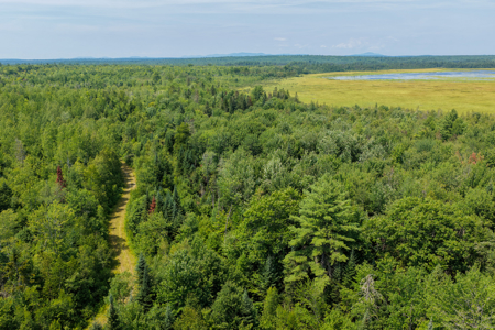 516 Acres Bordering State Wildlife Management Area - image 12