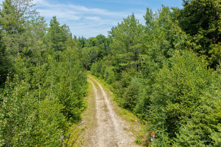 516 Acres Bordering State Wildlife Management Area - image 9