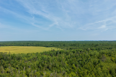 516 Acres Bordering State Wildlife Management Area - image 4