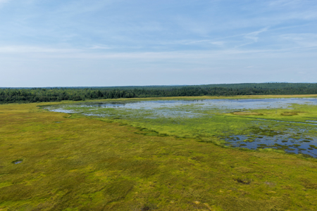 516 Acres Bordering State Wildlife Management Area - image 6