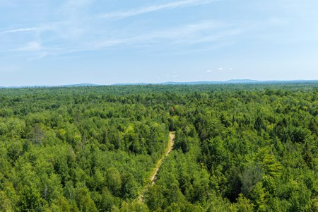516 Acres Bordering State Wildlife Management Area - image 13