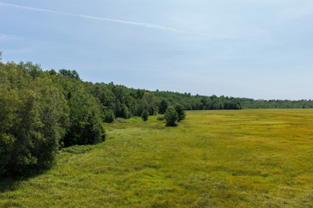 516 Acres Bordering State Wildlife Management Area - image 7