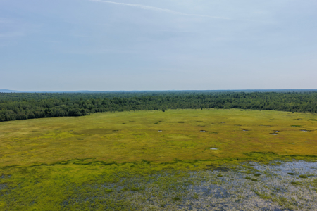 516 Acres Bordering State Wildlife Management Area - image 8