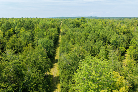 516 Acres Bordering State Wildlife Management Area - image 14