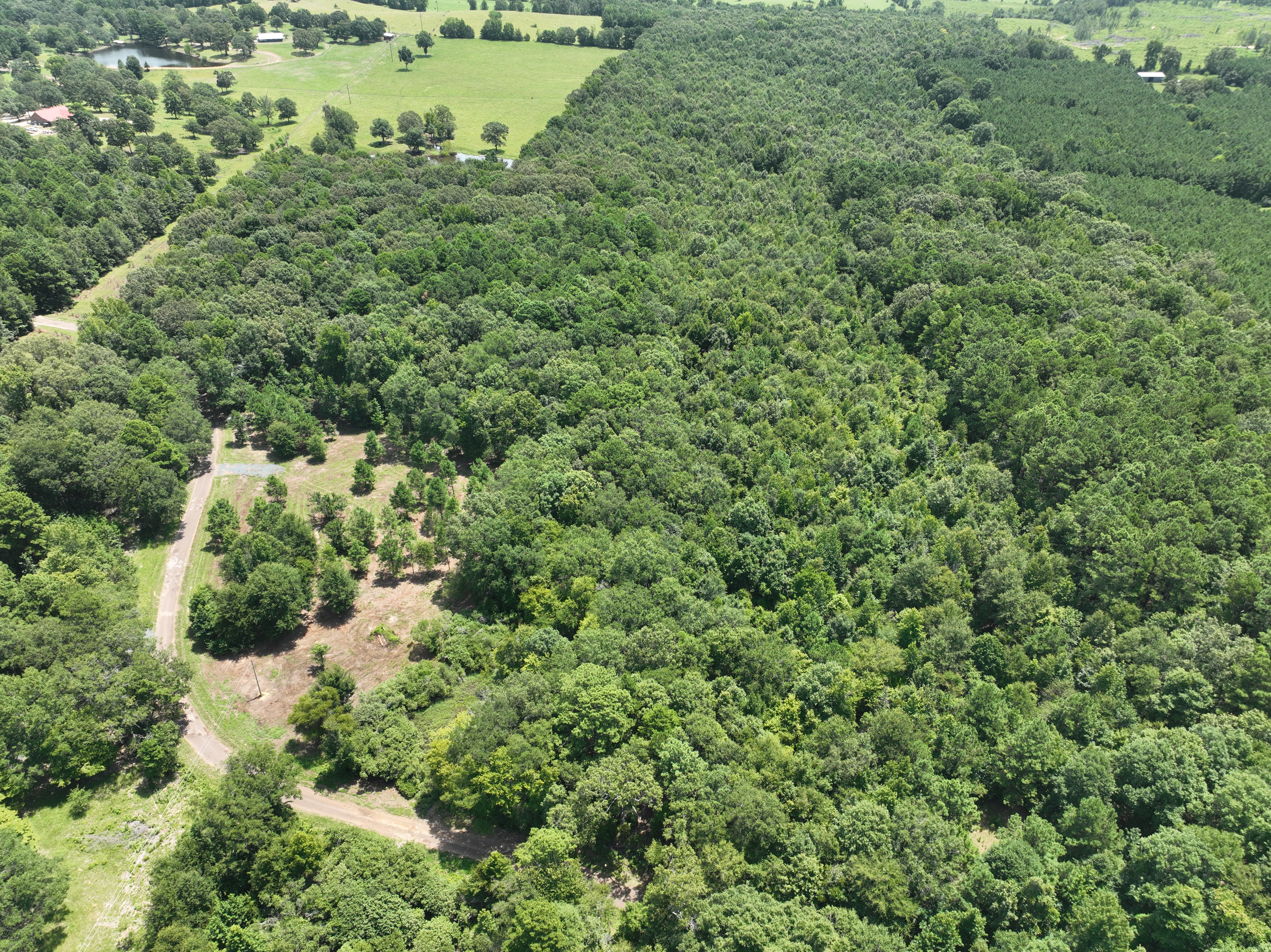 County Rd 3449 Queen City TX – drone view of cleared acreage and county road access