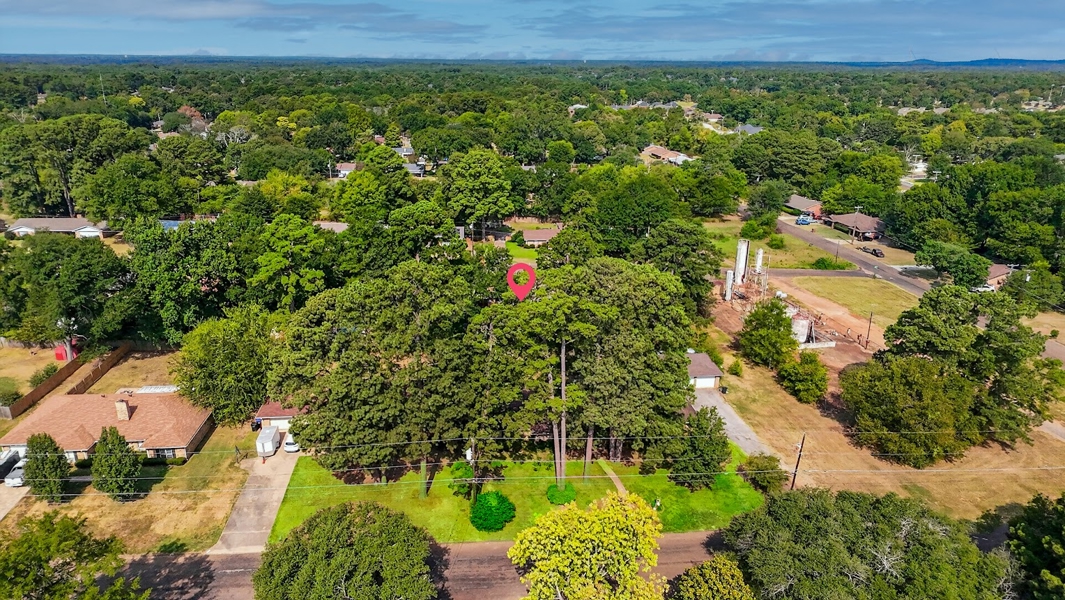 No Caption