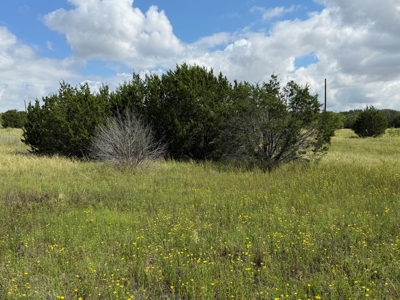 10.2 Acres for Sale Near Bangs, Texas – Tract 3 - image 14