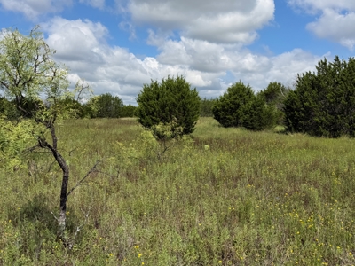10.2 Acres for Sale Near Bangs, Texas – Tract 3 - image 12