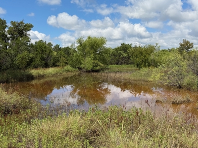 10.2 Acres for Sale Near Bangs, Texas – Tract 3 - image 1