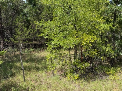 10.2 Acres for Sale Near Bangs, Texas – Tract 3 - image 26