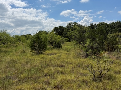 10.2 Acres for Sale Near Bangs, Texas – Tract 3 - image 19
