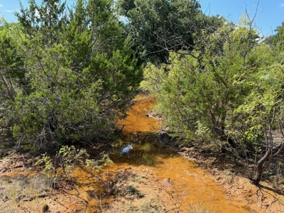 10.2 Acres for Sale Near Bangs, Texas – Tract 3 - image 23
