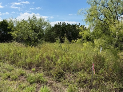 10.2 Acres for Sale Near Bangs, Texas – Tract 3 - image 9