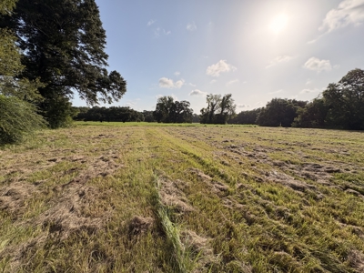 6.46 Acres of Timeless Beauty in the Heart of Lafayette - image 11