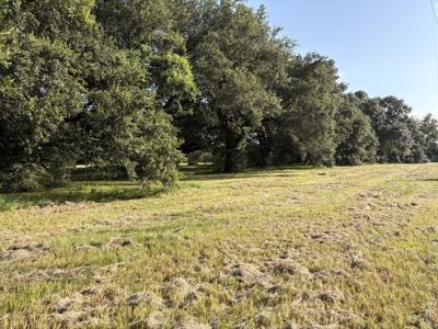 6.46 Acres of Timeless Beauty in the Heart of Lafayette - image 1