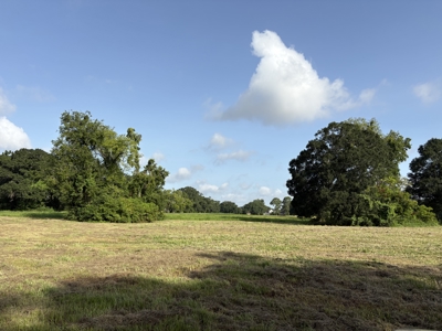 6.46 Acres of Timeless Beauty in the Heart of Lafayette - image 17
