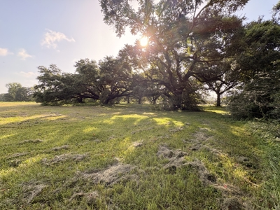 6.46 Acres of Timeless Beauty in the Heart of Lafayette - image 9