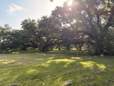 6.46 Acres of Timeless Beauty in the Heart of Lafayette - image 10