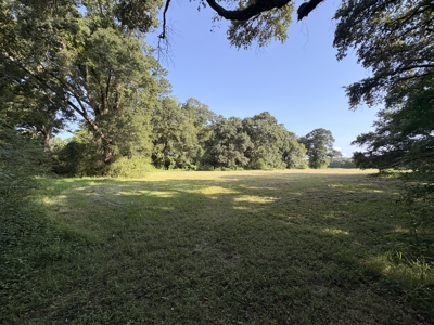 6.46 Acres of Timeless Beauty in the Heart of Lafayette - image 6
