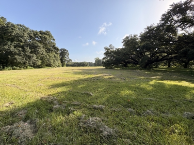 6.46 Acres of Timeless Beauty in the Heart of Lafayette - image 7